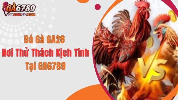 Đá Gà GA28 - Nơi Thử Thách Kịch Tính Tại GA6789