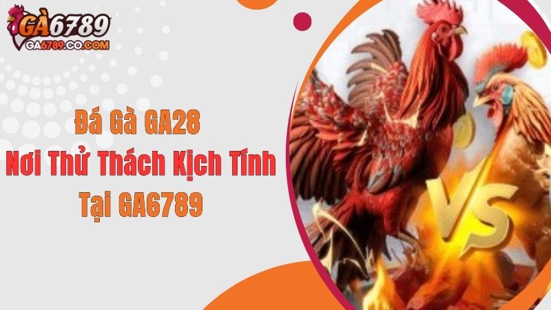 Đá Gà GA28 - Nơi Thử Thách Kịch Tính Tại GA6789