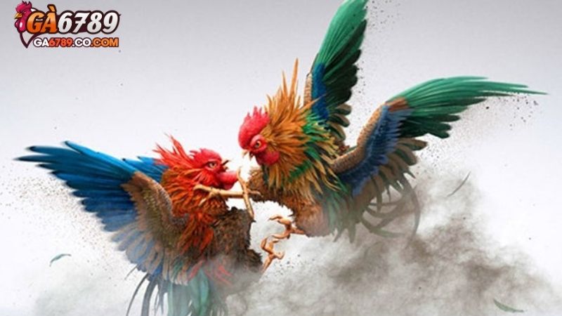 Ưu điểm nổi bật của sảnh đá gà AOG tại GA678