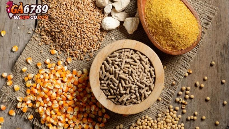 Vai trò then chốt của chế độ ăn cho gà đá